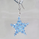 Star - Earrings Delphinus - 1
